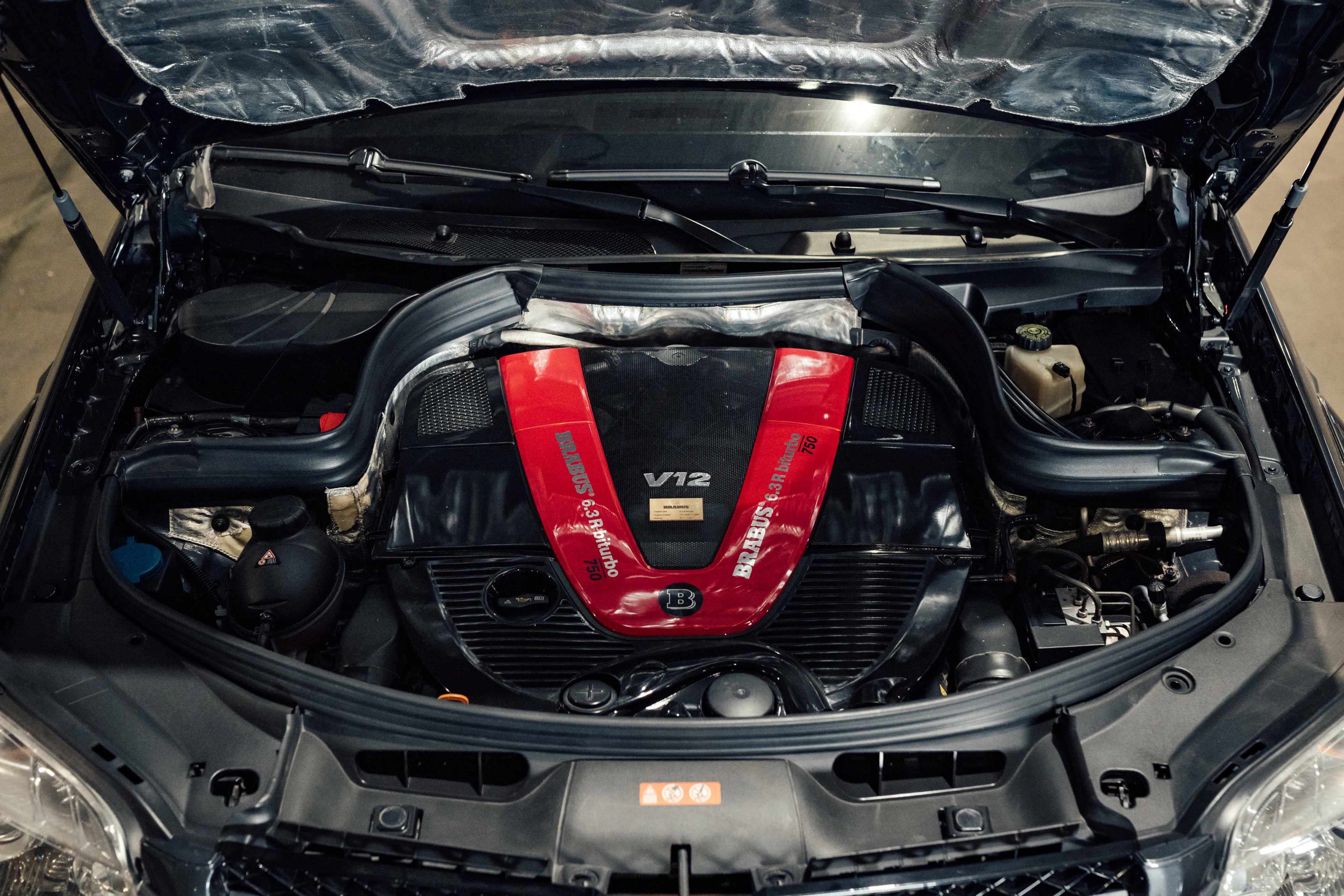 MB V12 Exklusive Neuzugänge